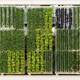 Illustration for article titled Behold the Gigantic Vertical Farm That the US Built For the Worlds Fair
